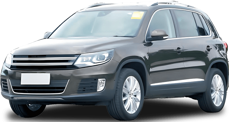 تيغوان 12